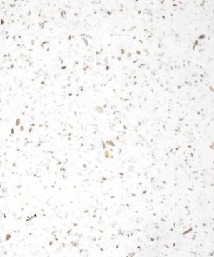 Mistral Manuka Kitchen Tops