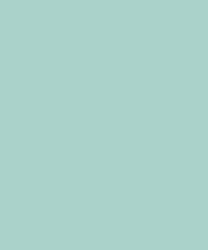 Formica Liquid Glass – Gloss – Feature Splashback