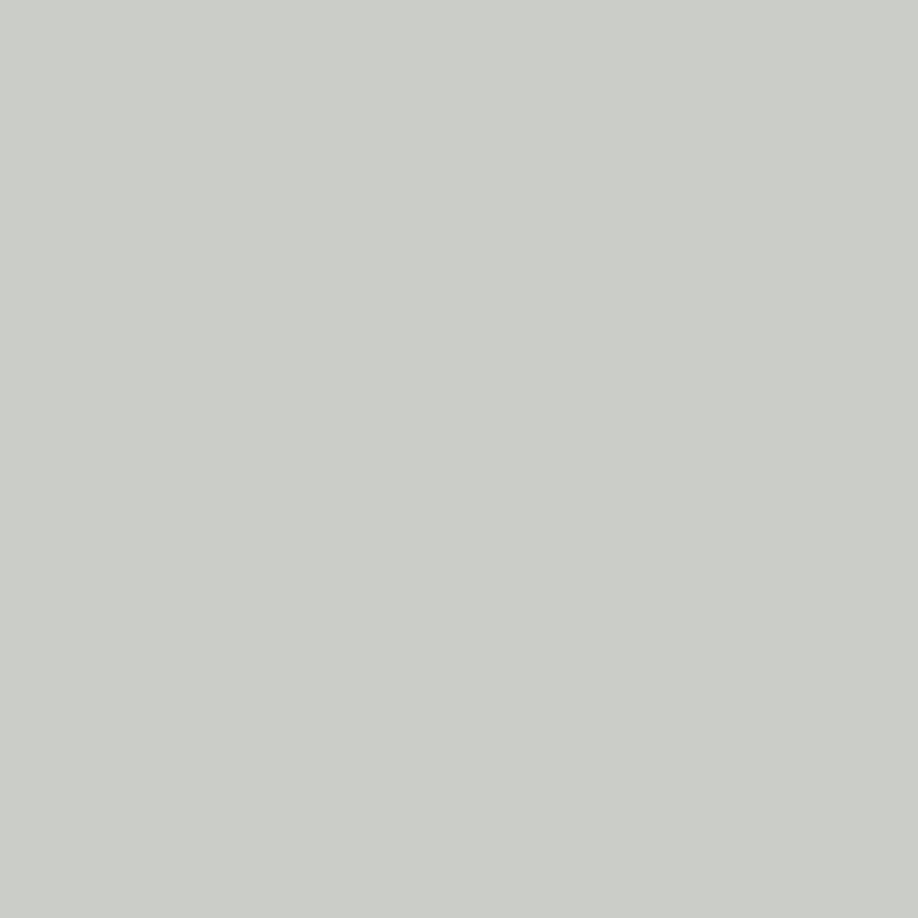 Light Grey Matt (SC)