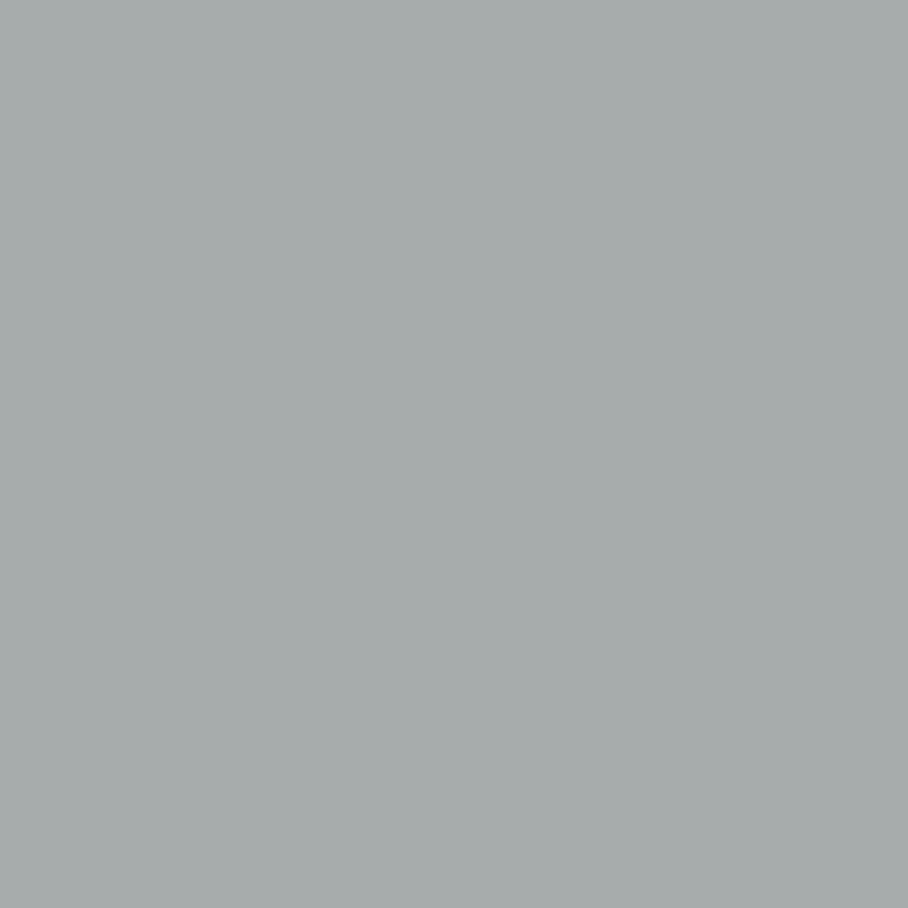Silver Grey Matt