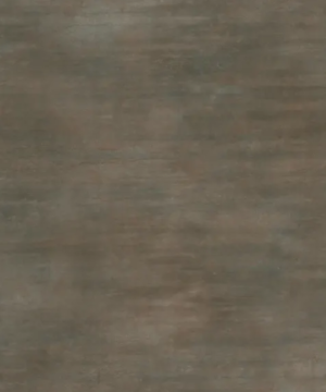 Aria Burnished Coin