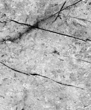 Alloy Fossil Marble - Pietra - Complimentary Splashback
