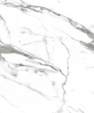 Alloy White Marble - Shell - Complimentary Splashback