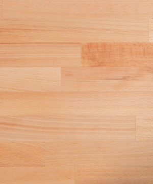 De Terra Beech