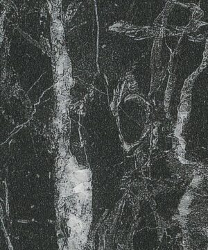 Duropal Nero Portoro