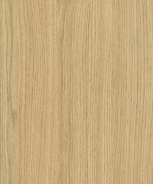 Egger Vicenza Oak - Curved Edge