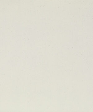 Spectra White Sirius 40mm - Quarry - Curved Edge